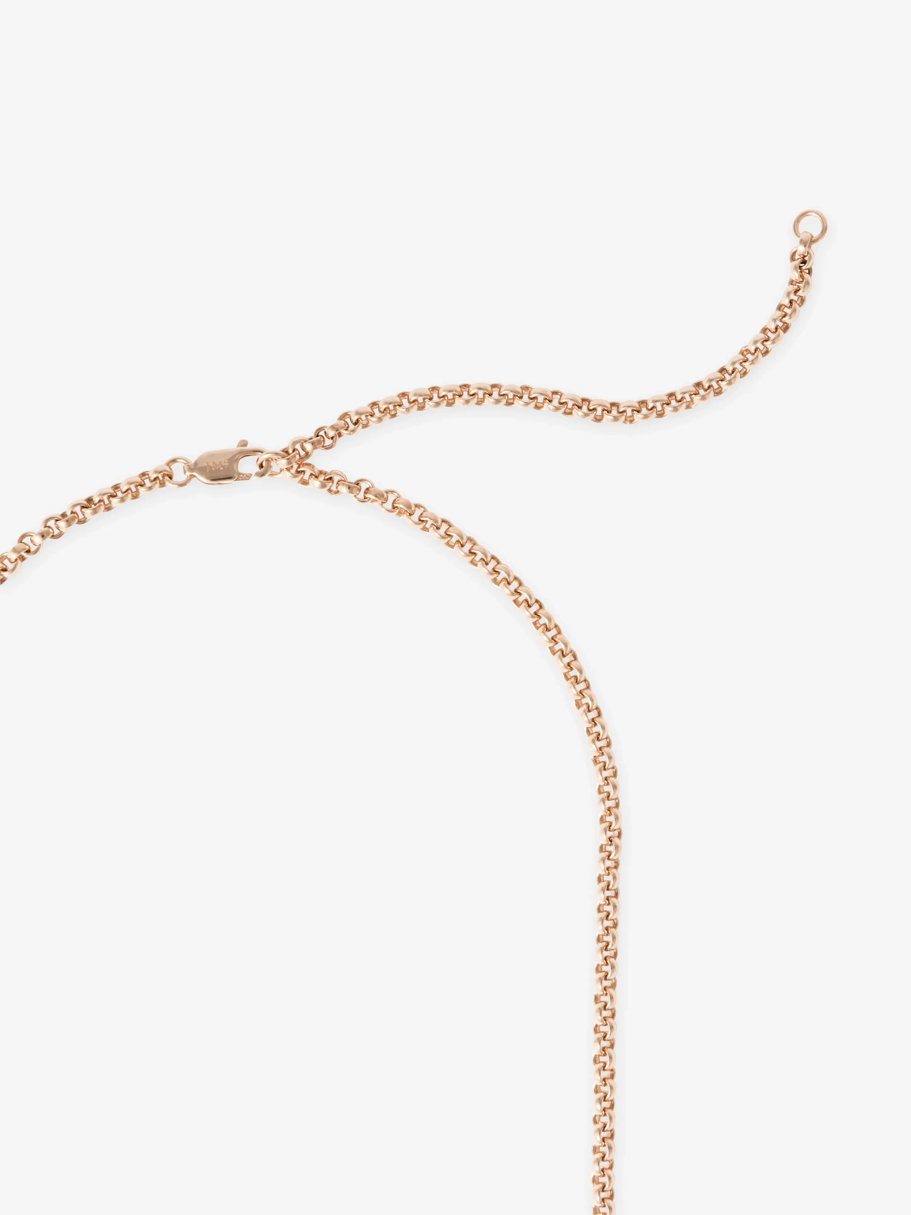 Signature Rose Gold 21" Belcher Chain - Image 4